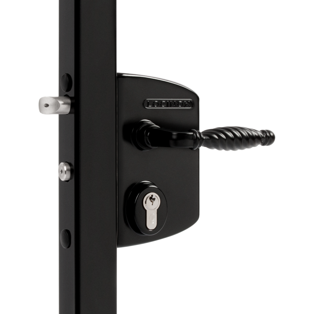L30696 - LOCINOX Surface Mounted Gate Lock — SD Fire Alarms