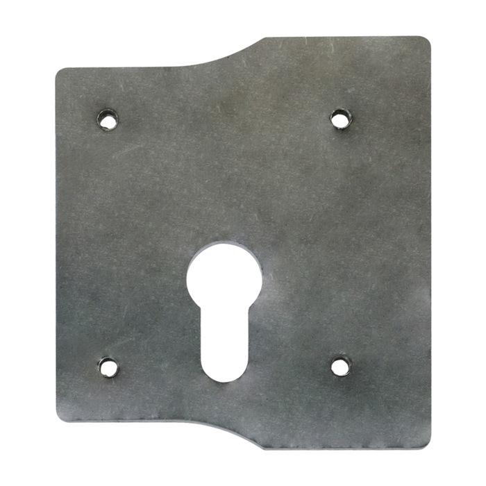 L32643 - GATEMASTER Standard Lock Plate GLBP