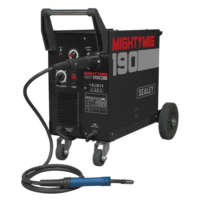 Professional Gas/No-Gas MIG Welder 190A with Euro Torch