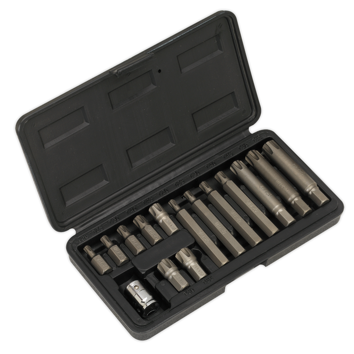 Ribe Bit & Holder Set 15pc - 3/8"Sq Drive