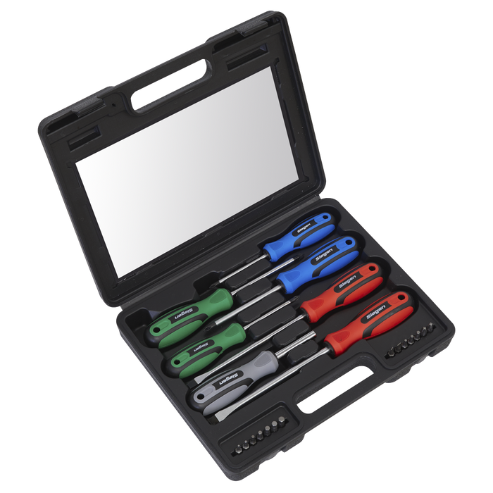 Screwdriver Set 21pc with Storage Case