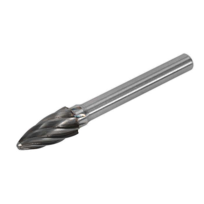 Tungsten Carbide Rotary Burr Oval Ripper/Coarse