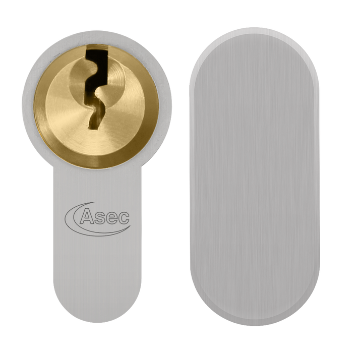 (30,000, NP/PB Dual Finish) ASEC Vital 6 Pin Key & Turn Euro Dual Finish Snap Re
